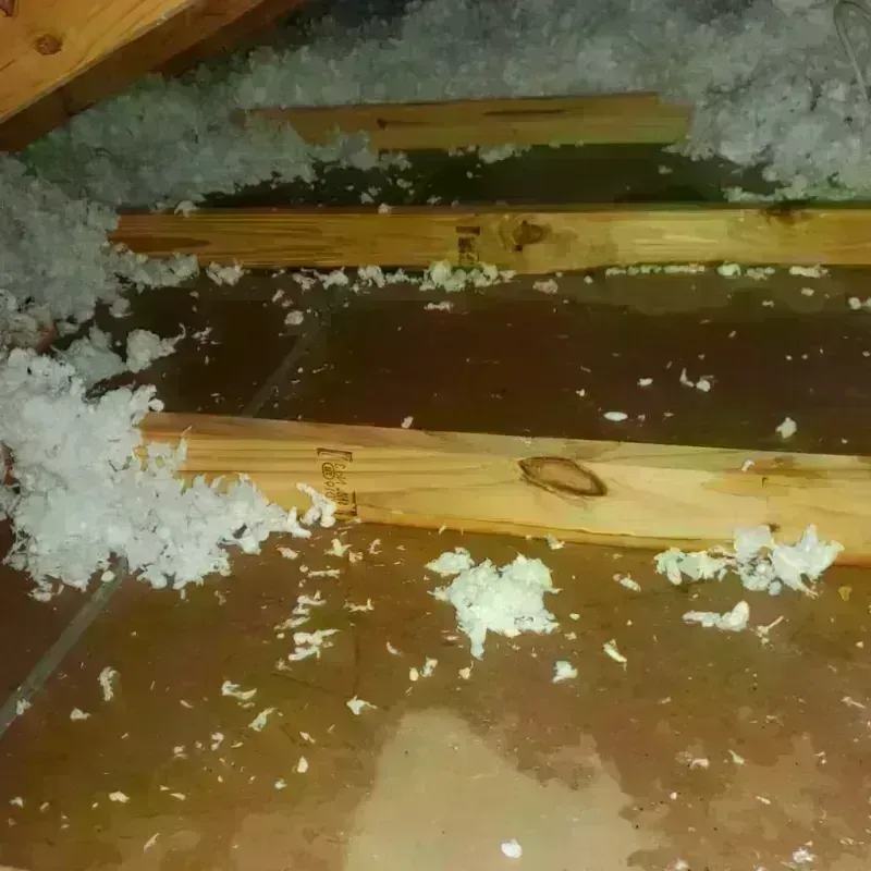 Attic Water Damage in Eudora, KS