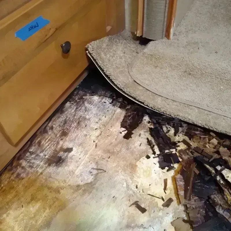 Best Wood Floor Water Damage Service in Eudora, KS